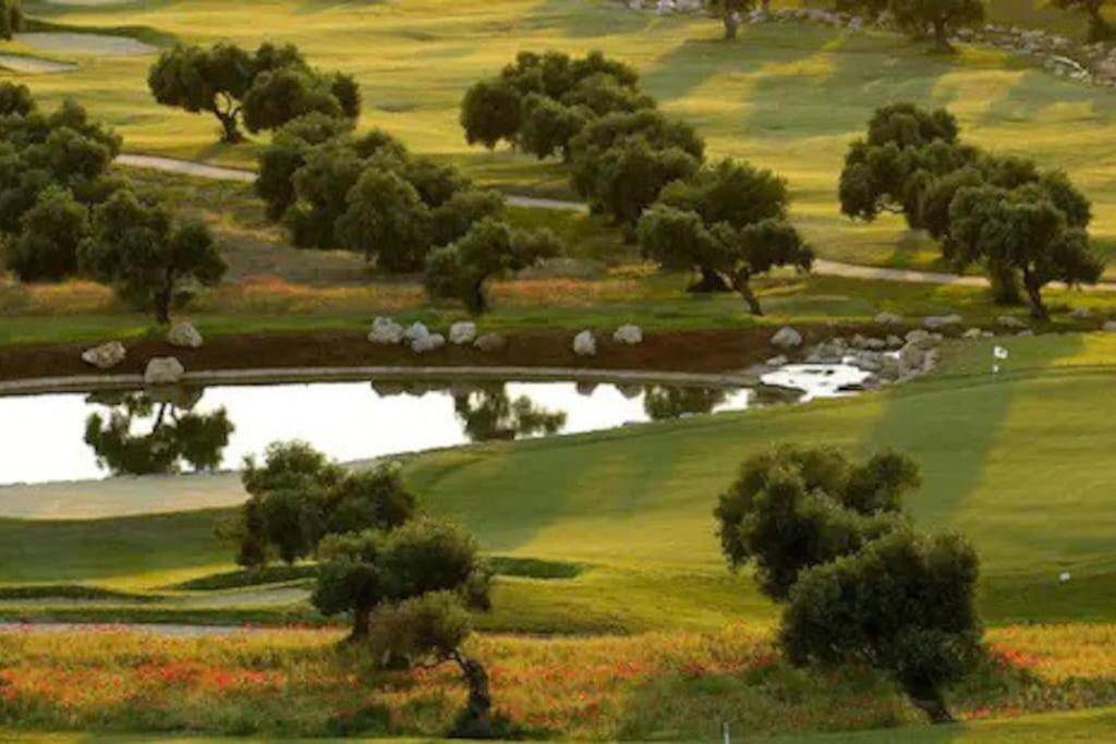 Casa Olivos Holiday home
