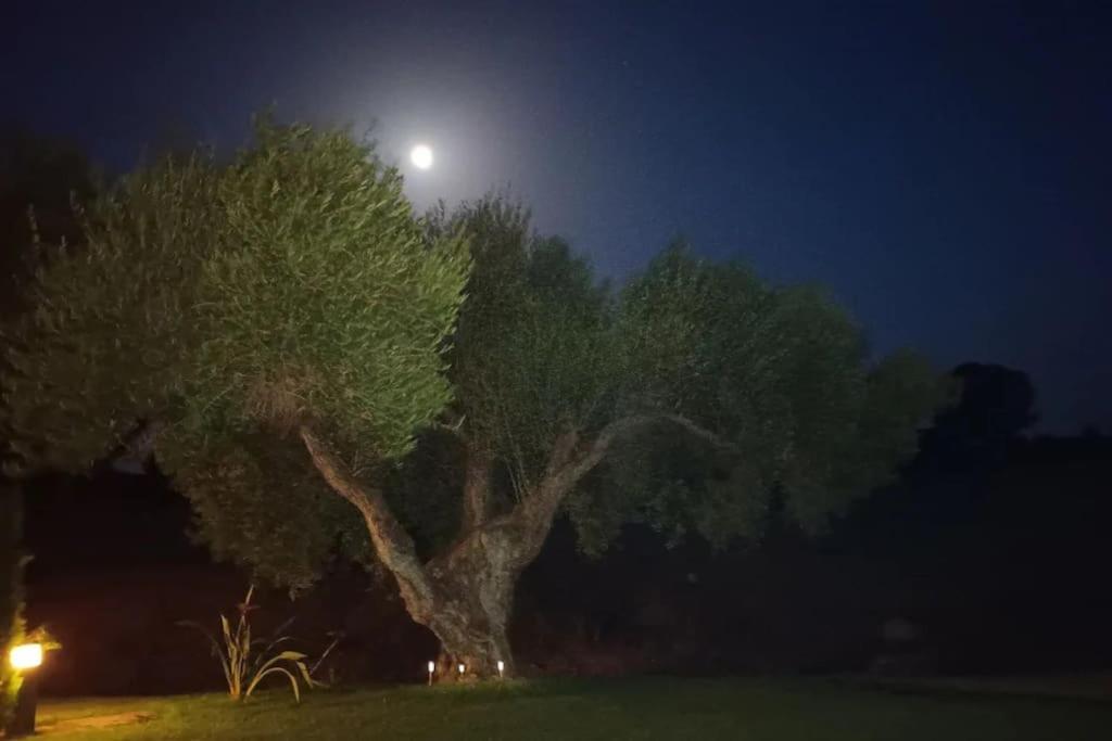 Vakantiehuis Casa Olivos
