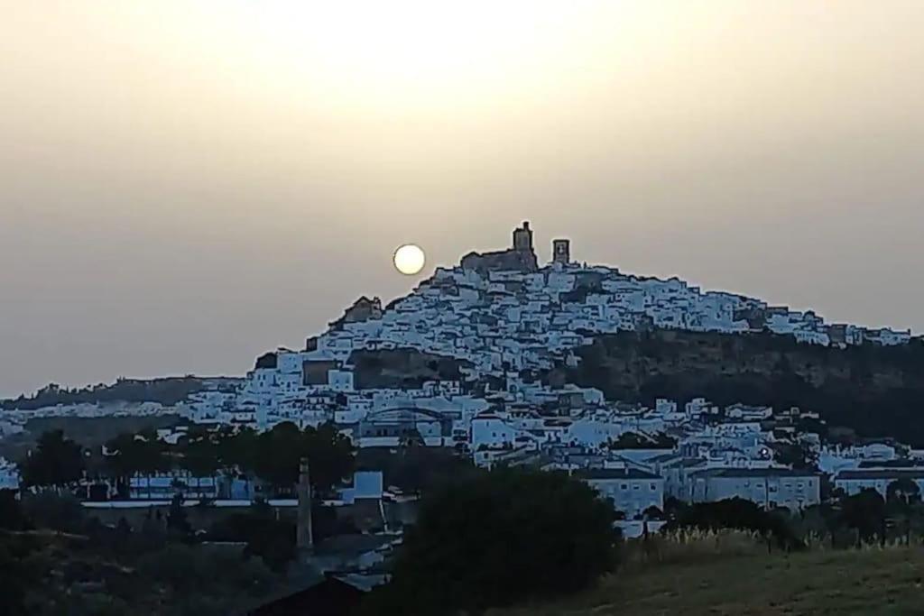Casa Olivos Vakantiehuis *